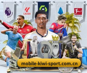 mobile-kiwi-sport.com.cn APP